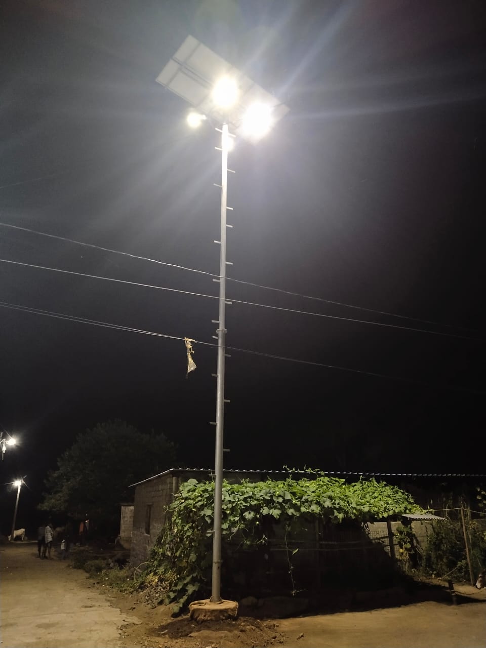 WhatsApp Image 2024-08-22 at 4.05.12 AM (1)